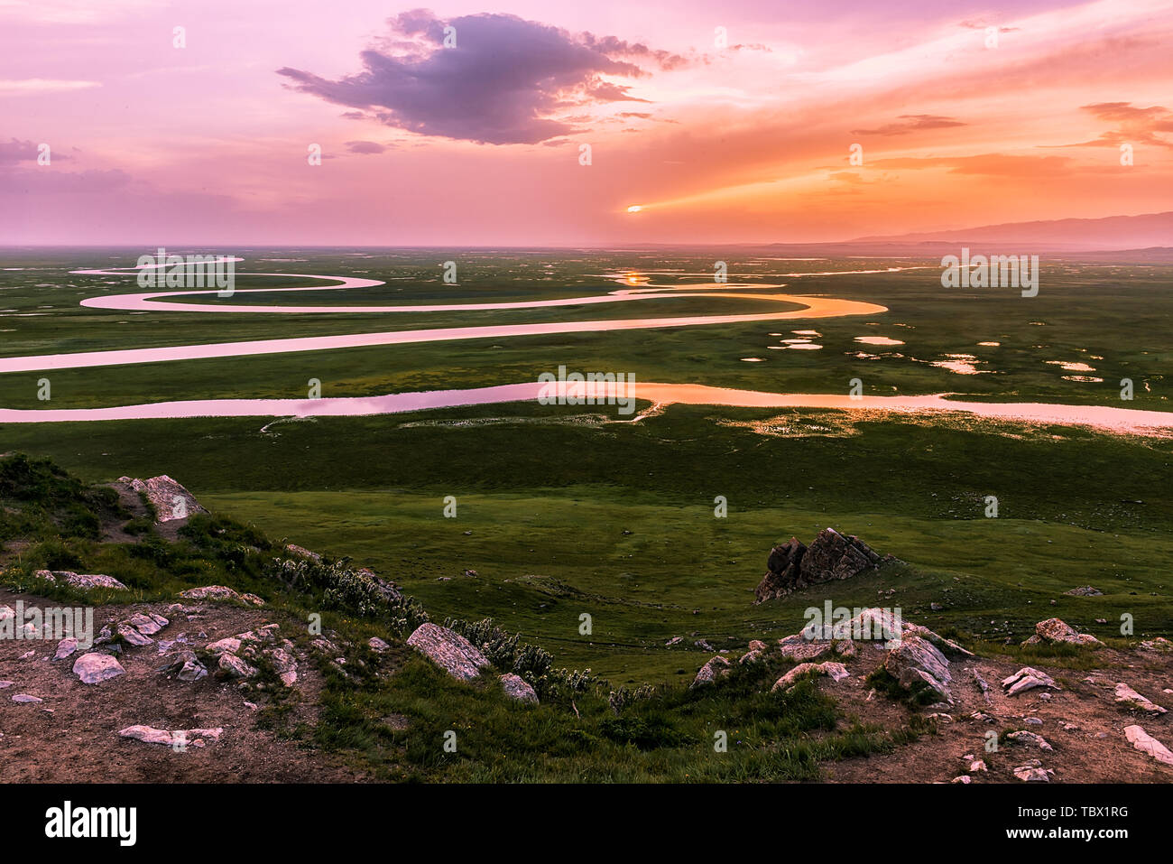 Juni Tag in Yili, Xinjiang Stockfoto