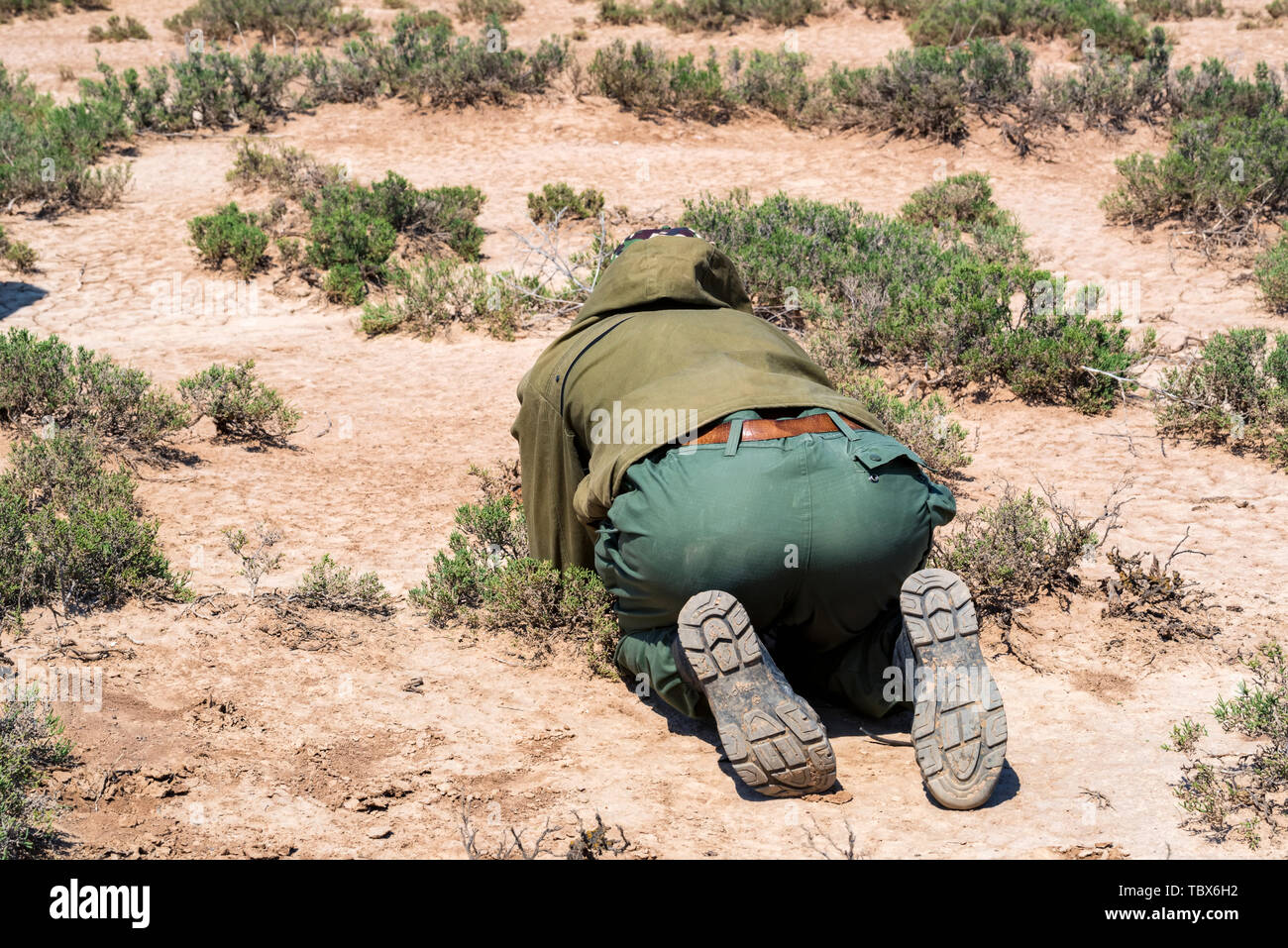 Zurück Fotograf liegt im freien Blick auf den Boden unter Bild von Lizard in der Steppe Stockfoto