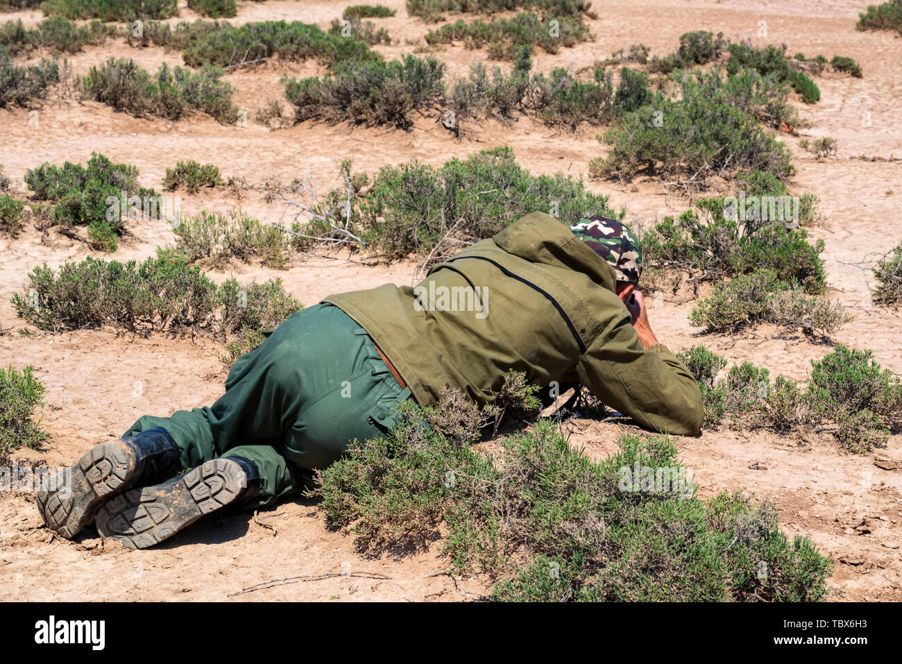 Zurück Fotograf liegt im freien Blick auf den Boden unter Bild von Lizard in der Steppe Stockfoto