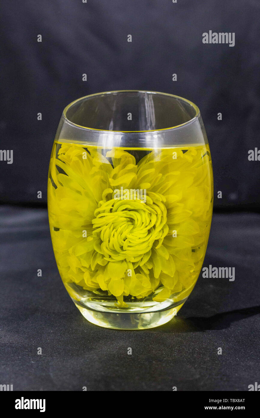 Klicken Sie Feuer golden silk Royal chrysanthemum Tee Suppe tee Material Stockfoto