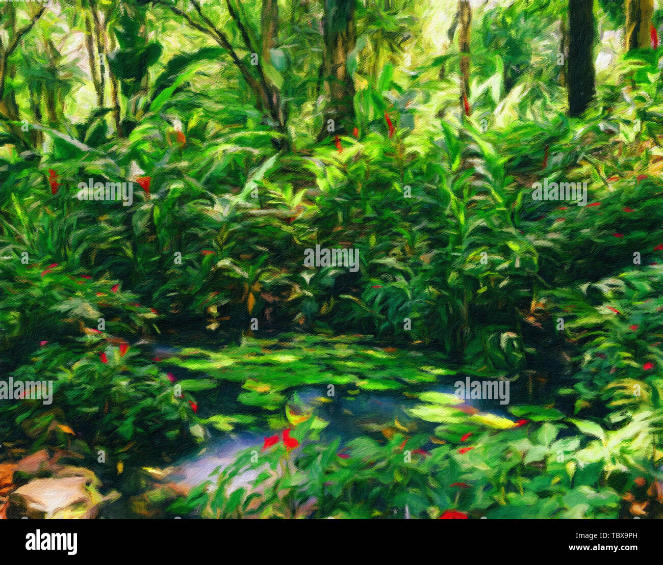 Seerosen, Nymphaeaceae, in üppigen tropischen brasilianischen Regenwald -  Claude Monet Stil digitale Manipulation Öl auf Leinwand impressionistischen  Effekt Stockfotografie - Alamy