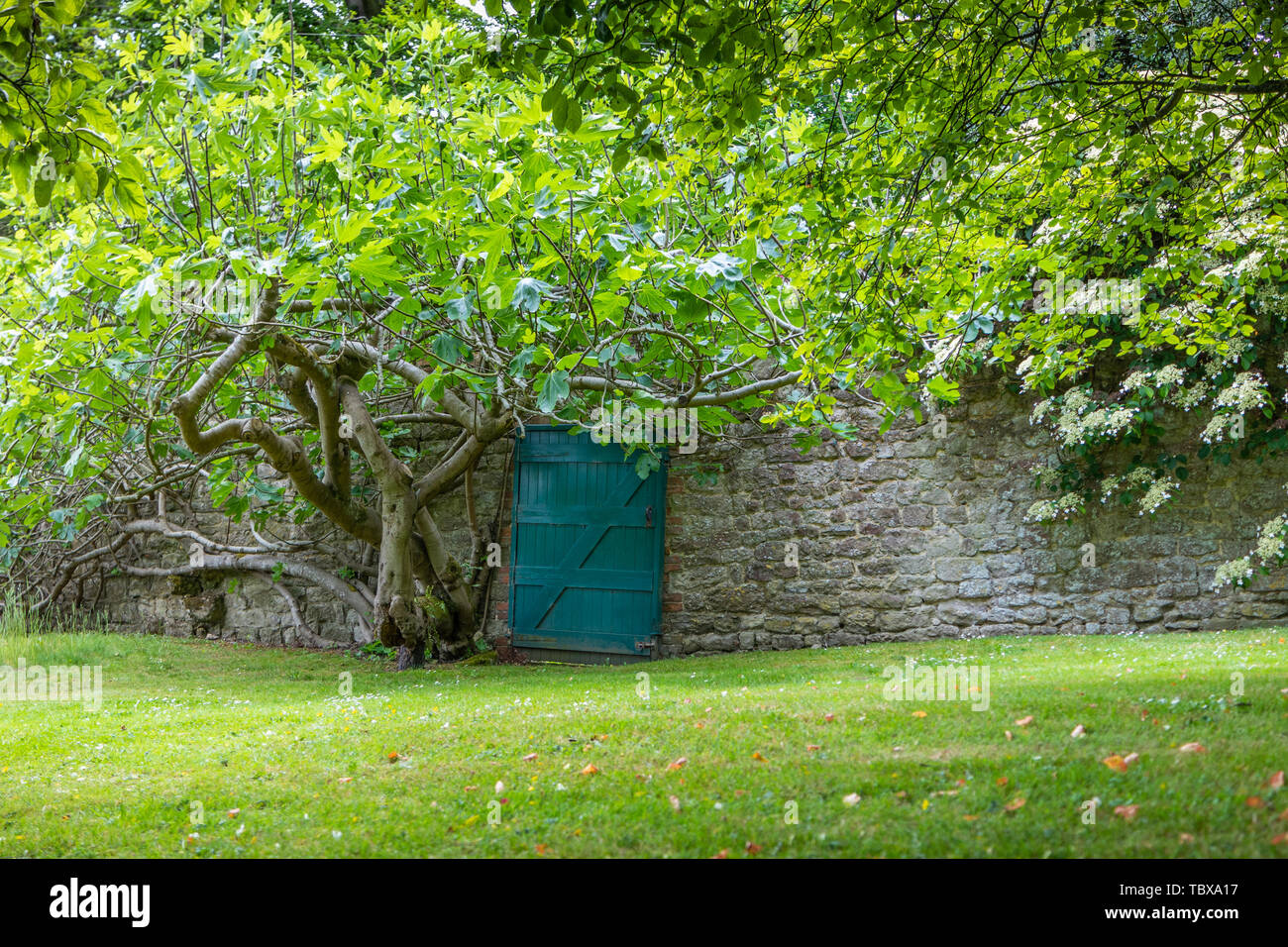 Wand Tür an Boughton Monchelsea Place Stockfoto