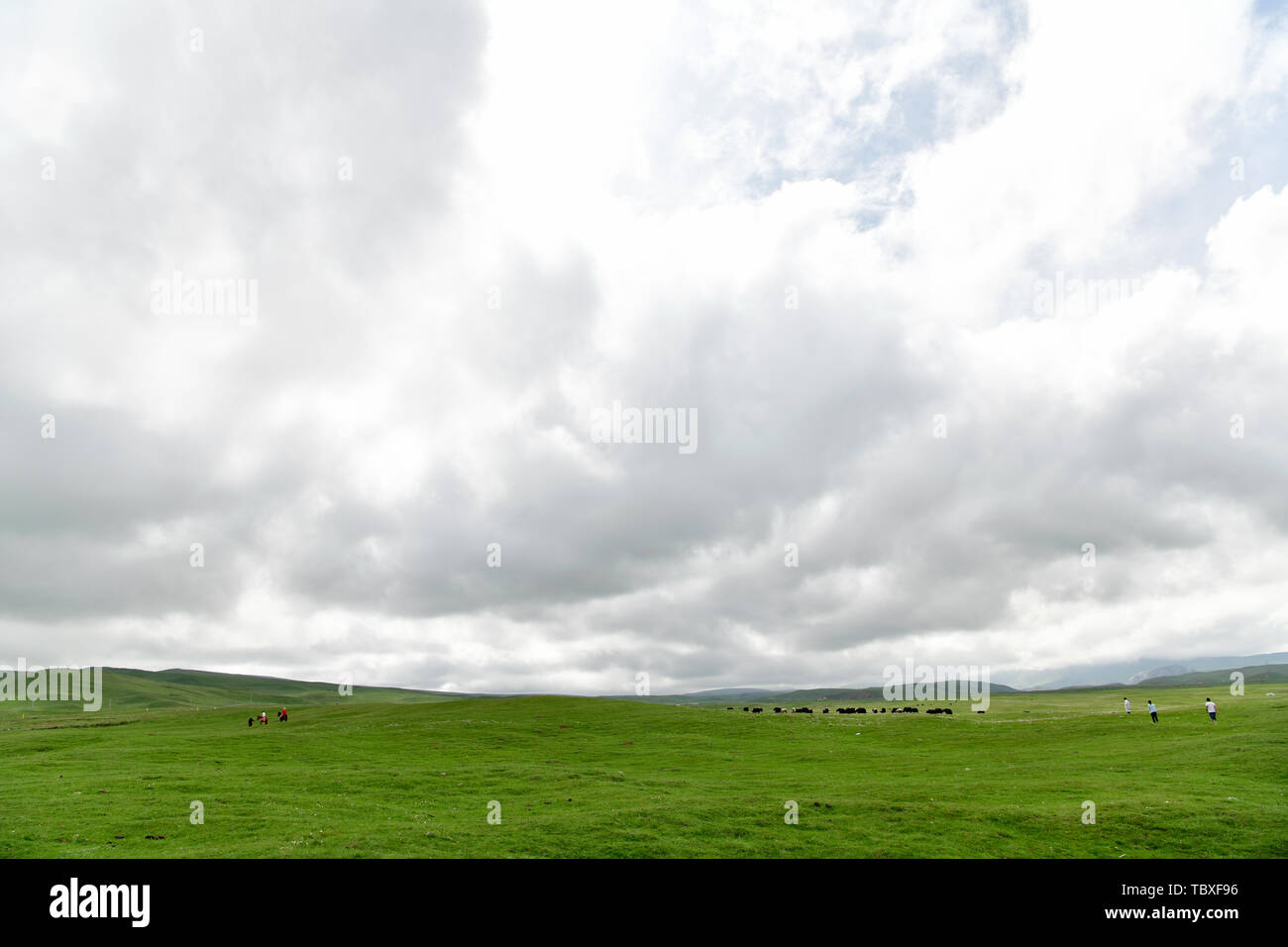 Ein schwaches Gedächtnis des Plateaus. Stockfoto