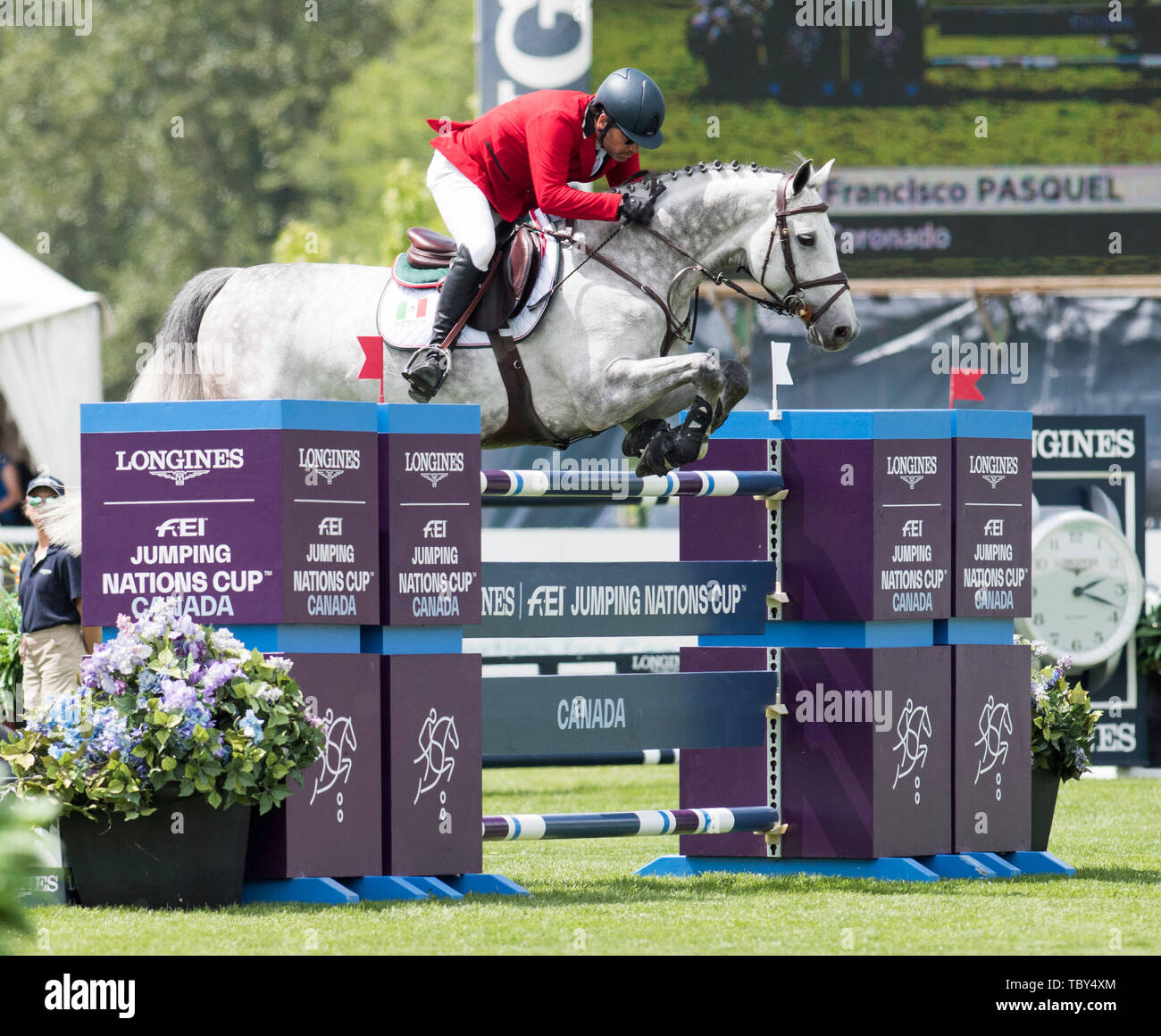 In Langley, British Columbia, KÖNNEN. 2. Juni 2019. FRANCISCO PASQUEL (MEX) Fahrten CORONADO in der longines FEI Jumping Nations Cup™ von Kanada für Thunderbird Show Park am 2. Juni 2019 in Langley BC Kanada. Credit: Cara Grimshaw/ZUMA Draht/Alamy leben Nachrichten Stockfoto