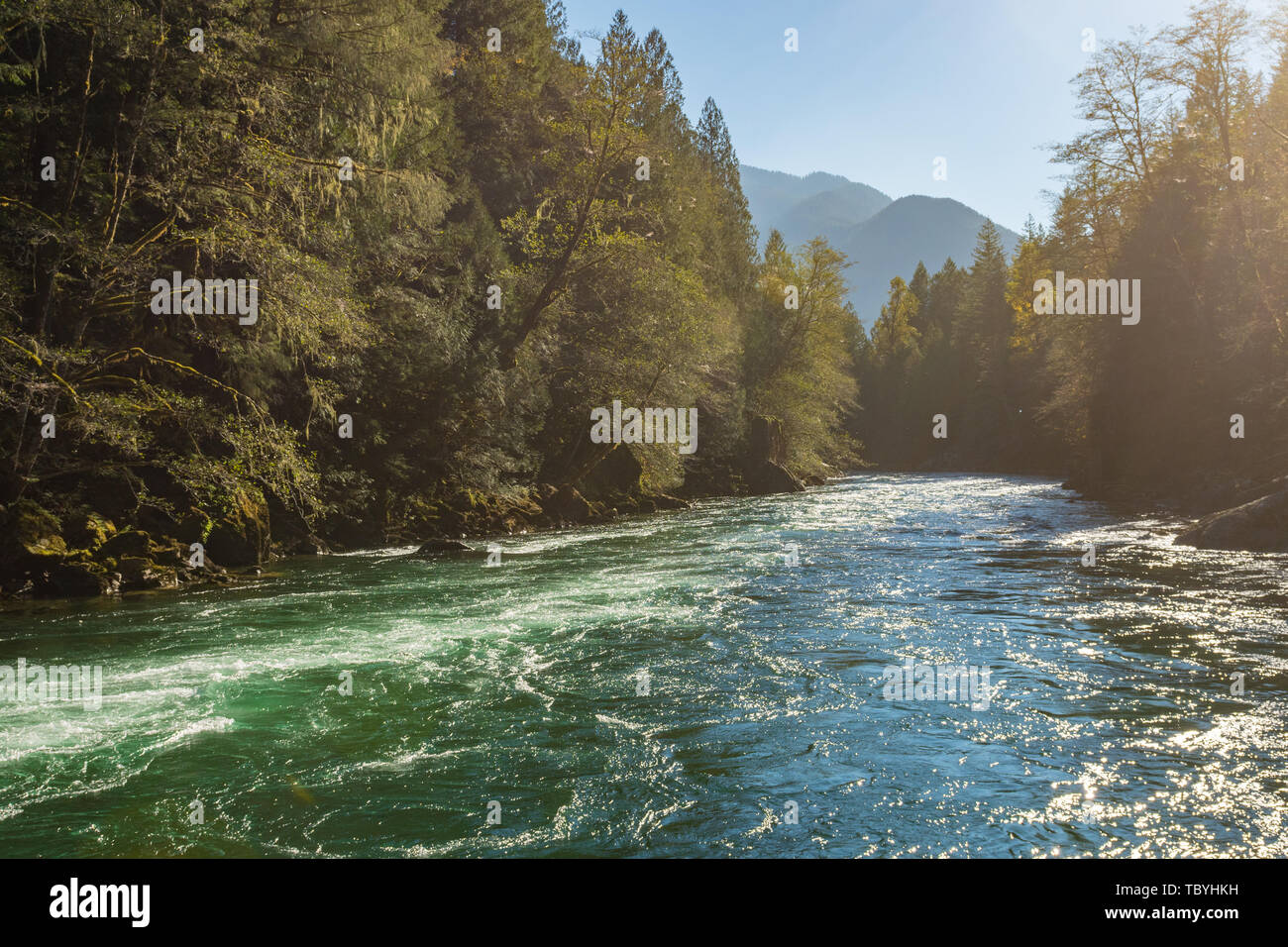 Das türkisfarbene Wasser der Skagit River absteigend mit Kraft Stockfoto