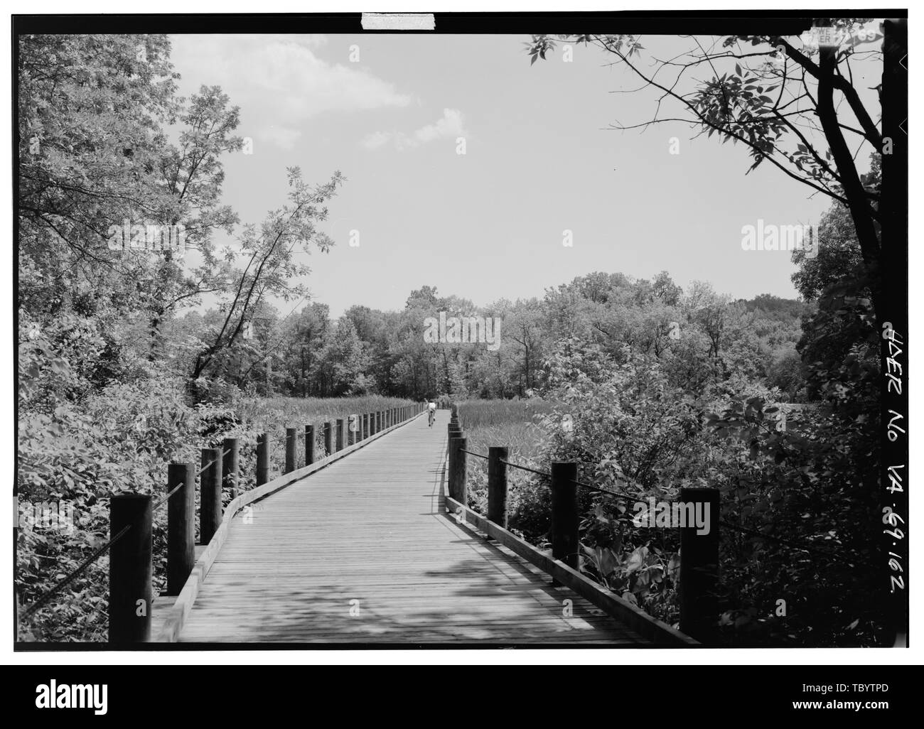 Nördlichen Ende der Fußgänger-Brücke über den Deich MARSH Blick nach Süden. George Washington Memorial Parkway, entlang der Potomac River von McLean nach Mount Vernon, VA, Mount Vernon, Fairfax County, VA Mount Vernon Avenue Association US-Armee Korps der Ingenieure US-Büro der öffentlichen Straßen Clarke, Gilmore Downer, Jay, Toms, R E Johnson, J W Simonson, Wilbur McNary, J V Barton, Clara Mount Vernon Damen Verein Garden Club von Amerika Töchter der Amerikanischen Revolution United Töchter der Konföderation kolonialen Dames von Amerika Assoziation für die Bewahrung der Virginia Antiquitäten McMillan Kommission G Stockfoto