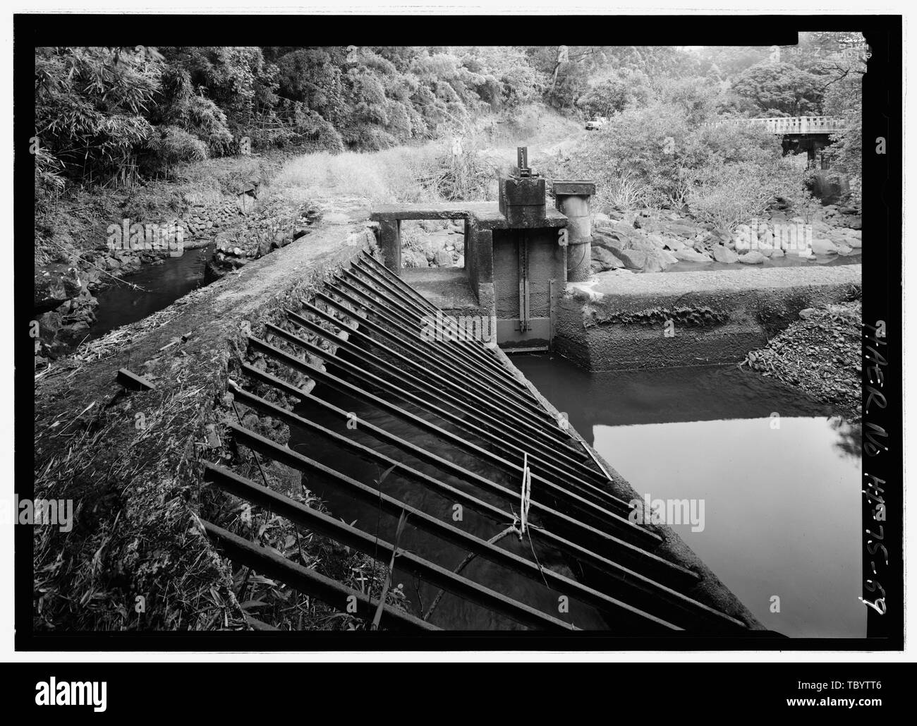 Na'ili'iliha" ele Brücke im Hintergrund, East Maui Bewässerung trashgate, floodgate im Vordergrund Hana Gürtel Straße, zwischen Haiku und Kaipahulu, Hana, Maui County, HI Stockfoto