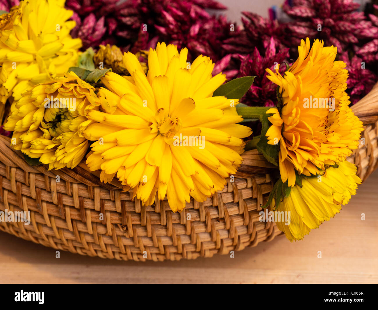 Bambus blumen arrangement -Fotos und -Bildmaterial in hoher Auflsung   Alamy