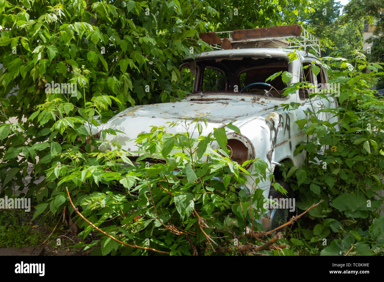 Eine verschlissene Weiß retro Auto malerisch in die Büsche entfernt Stockfoto