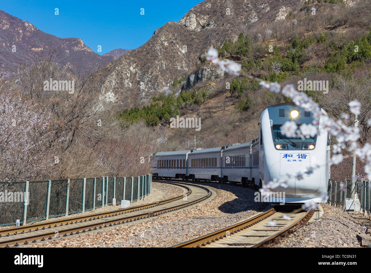 Peking Juyongguan Great Wall Peach Blossom Meer Zug Stockfoto