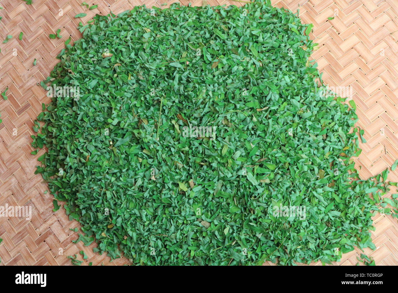 Sammlung von Materia Medica Huhn Knochen Gras Stockfoto