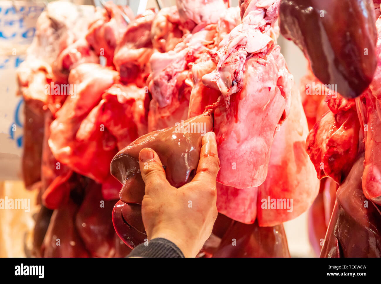 Frische Leber von Lamm, Schaf, Schwein, Rind an den Haken gehängt. Hand Metzgerei zeigen das Produkt und dessen Qualität. Nicht gegarte Schlachtnebenerzeugnisse für Hintergrund, Nahaufnahme. Stockfoto
