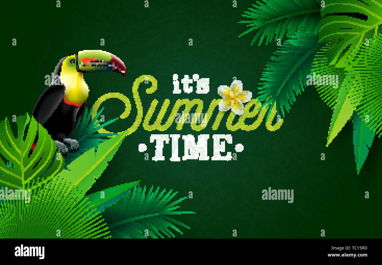 Es ist Sommer Abbildung mit Blume und Toucan Vogel auf grünem Hintergrund. Vektor tropischen Urlaub Design mit exotischen Palmen und Phylodendron Stock Vektor