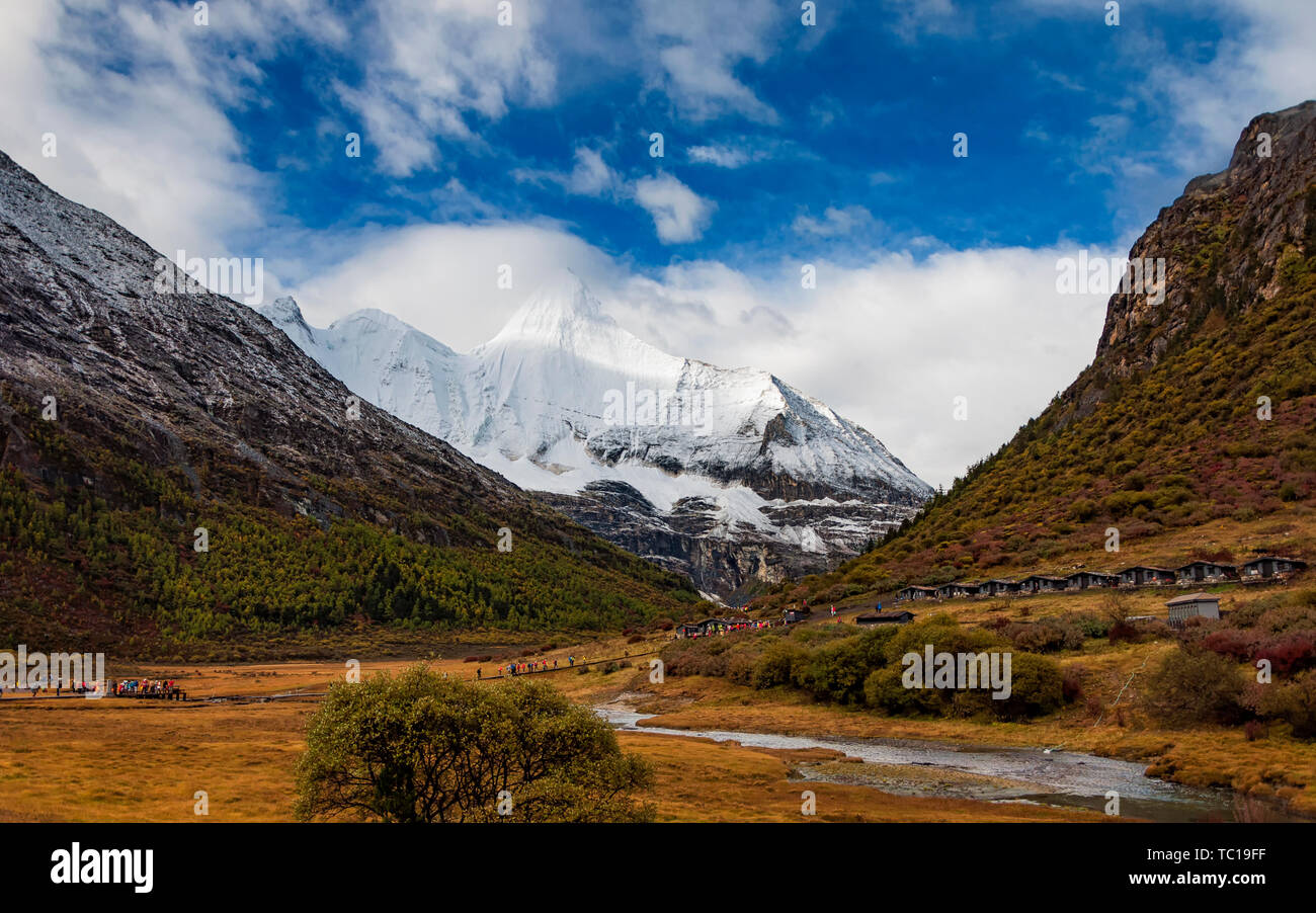 Mai taocheng Aden Yang Yong Shenshan Stockfoto