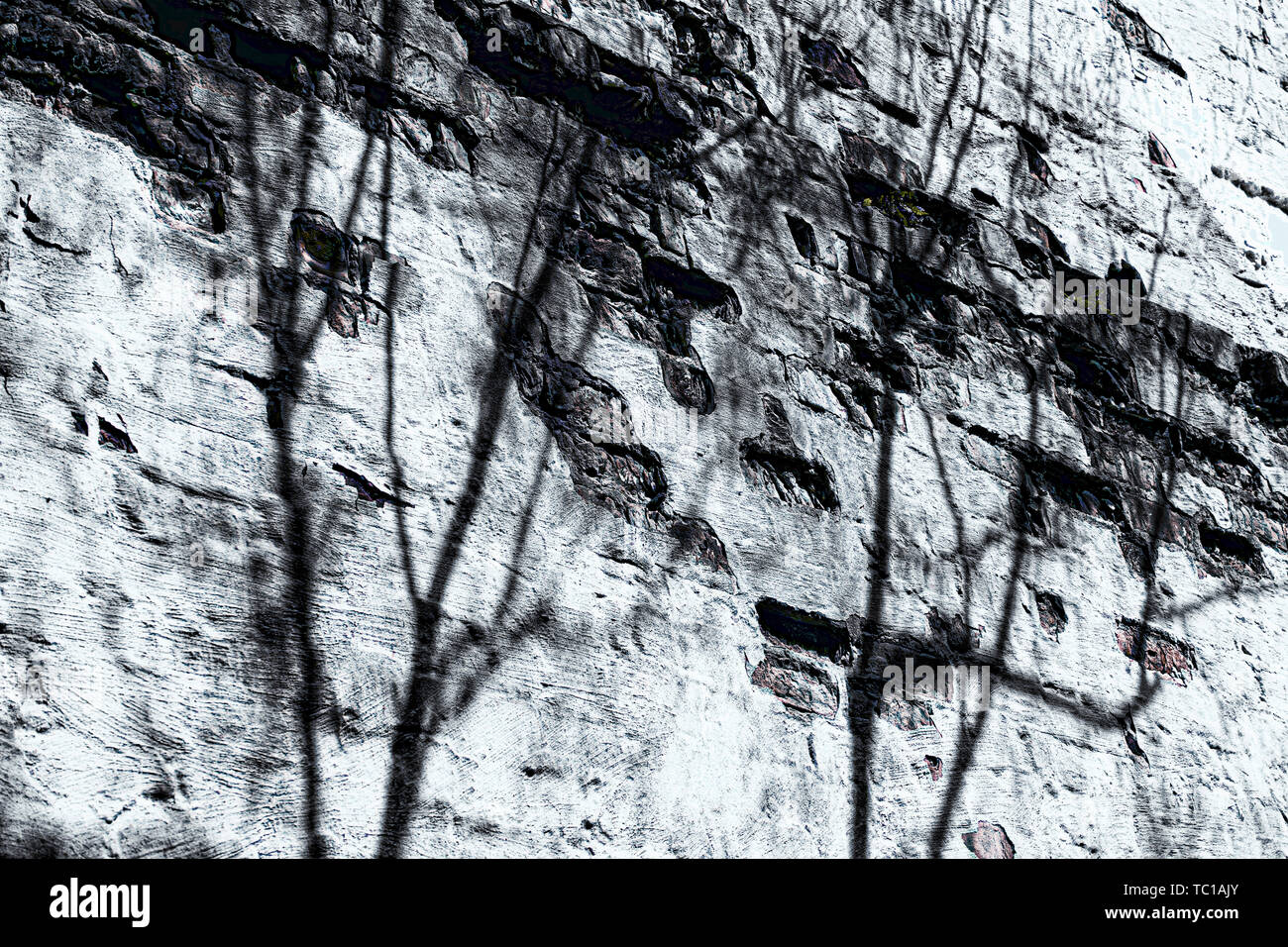 Alte Gebäude Wand mit fehlenden Putz und Baum Schatten, in Schwarzweiß. Stockfoto