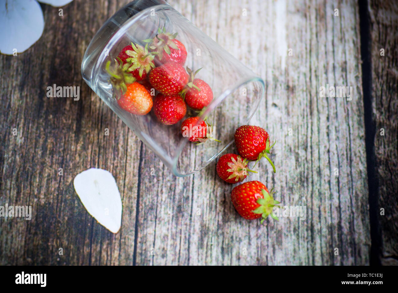 Frische reife Erdbeeren in eine Schüssel auf Holz Stockfoto