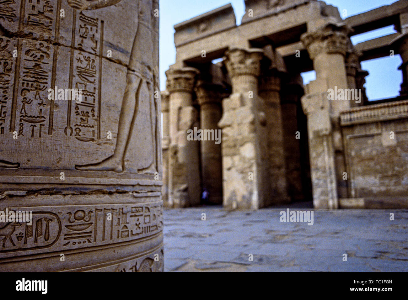 Foto: © Simon Grosset. Der Tempel von Kom Ombo, in der Nähe von Aswan, Ägypten. Spalte mit relief Dekoration und Hieroglyphen. Archiv: Bild aus einer digitalisierten Stockfoto