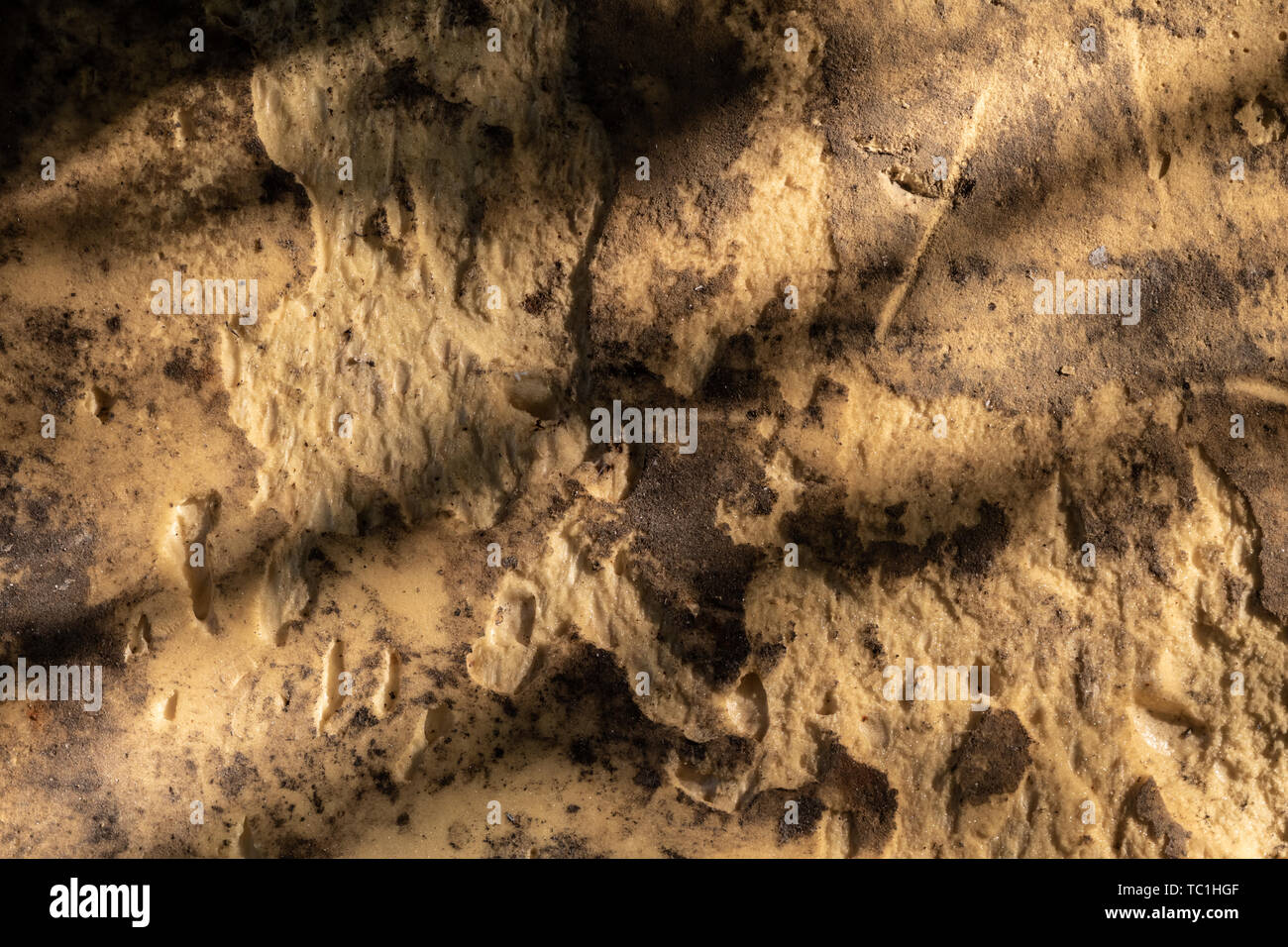 Grunge gelben Schwamm Oberflächenstruktur Stockfoto