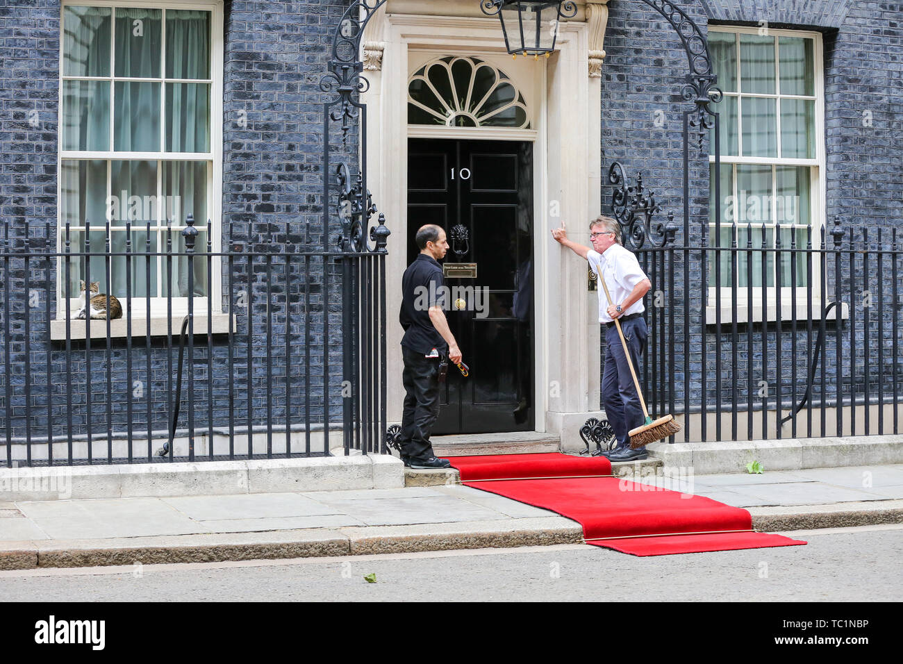 Handwerker legen Sie einen roten Teppich für den US-Präsidenten Donald Trump und First Lady Melania Trump Besuch in Downing Street am zweiten Tag Ihrer dreitägigen Staatsbesuch in Großbritannien. Larry, der 10 Downing Street cat und Chief Mouser des Cabinet Office schläft auf der Fensterbank. Stockfoto