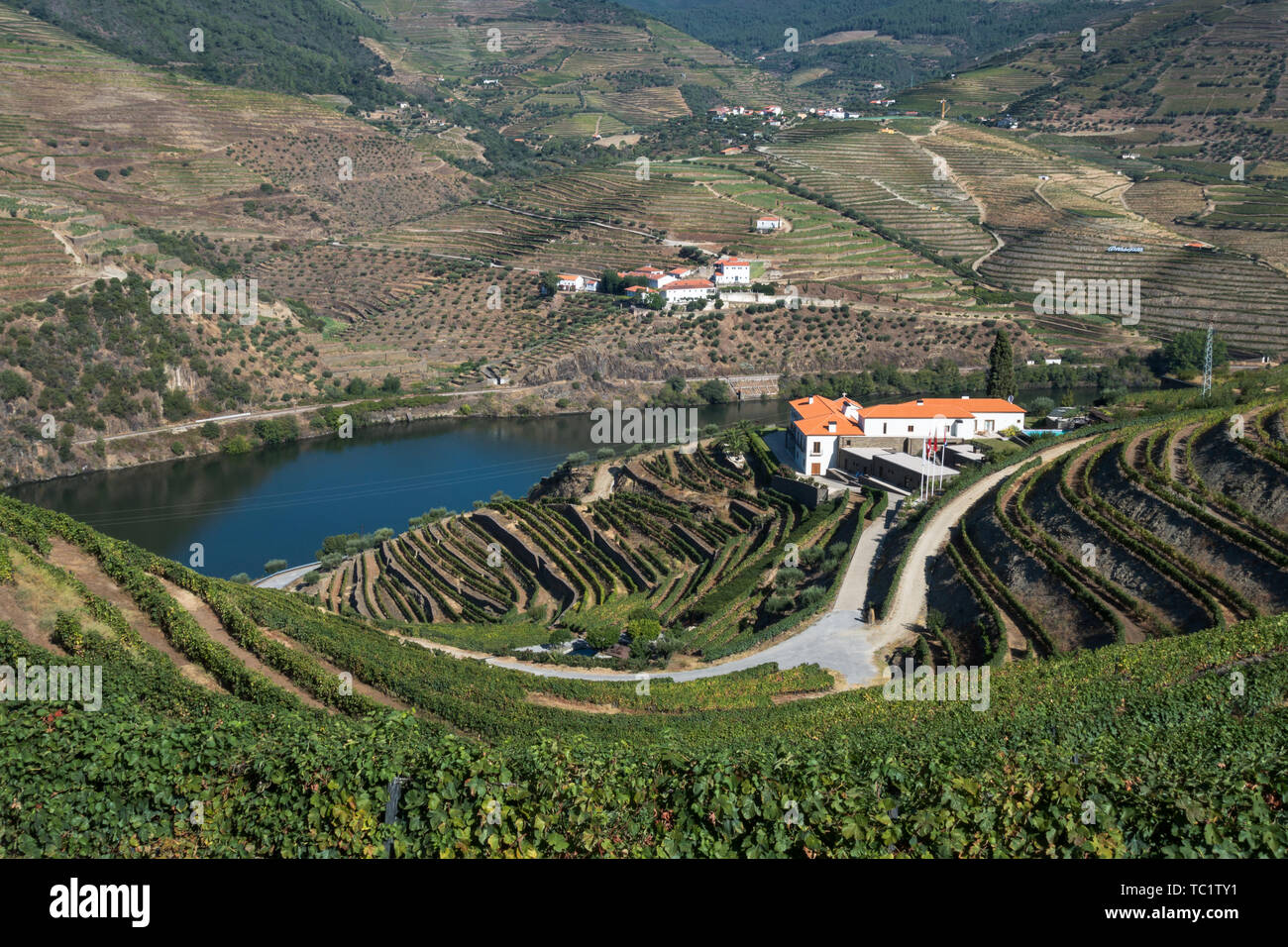 Auf quinta Gebäude inmitten üppiger Weinberge an einem Hang am Fluss im Douro Tal im Herbst Stockfoto