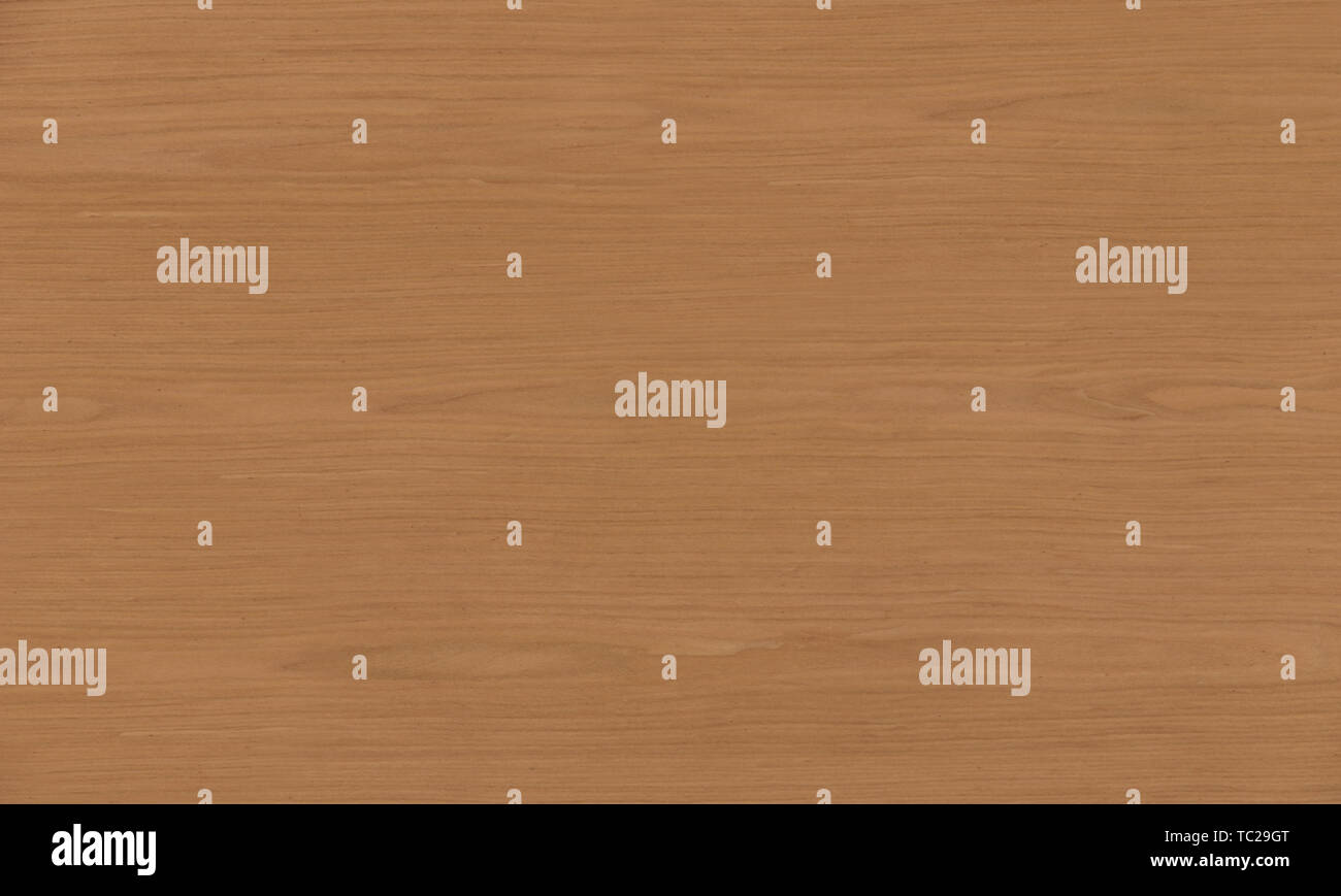Interior Design Wood Cladding Wall Stockfotos Interior