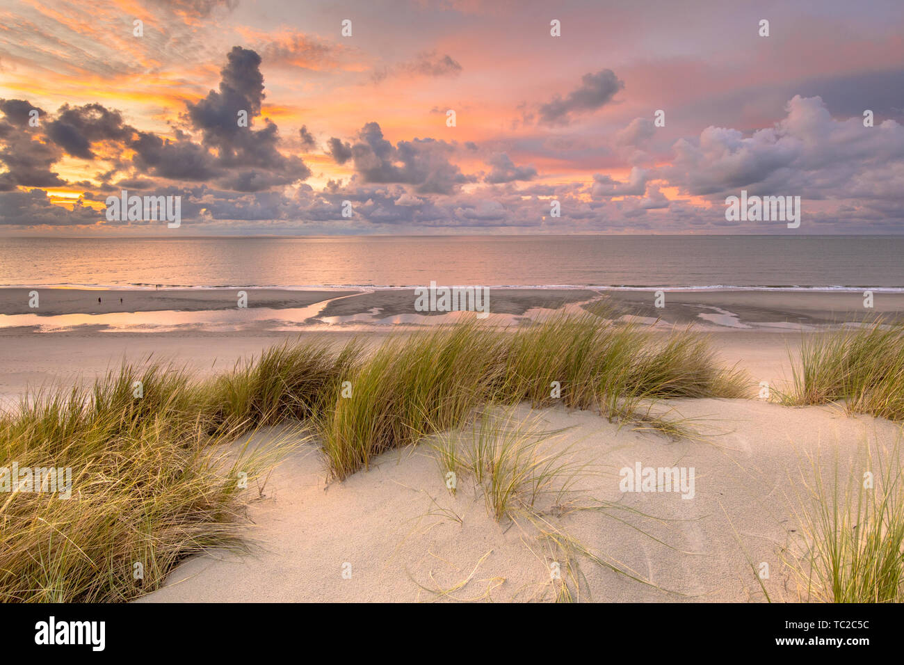 Blick auf den Sonnenuntergang von der Düne über Nordsee und Kanal in Zeeland, Niederlande Stockfoto