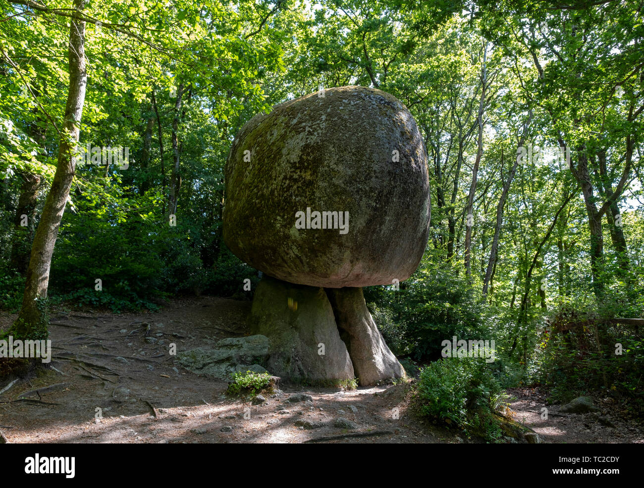 Le Champignon (riesige Stein) Felsformation in Plestin-les-Grèves, Bretagne Frankreich. Stockfoto