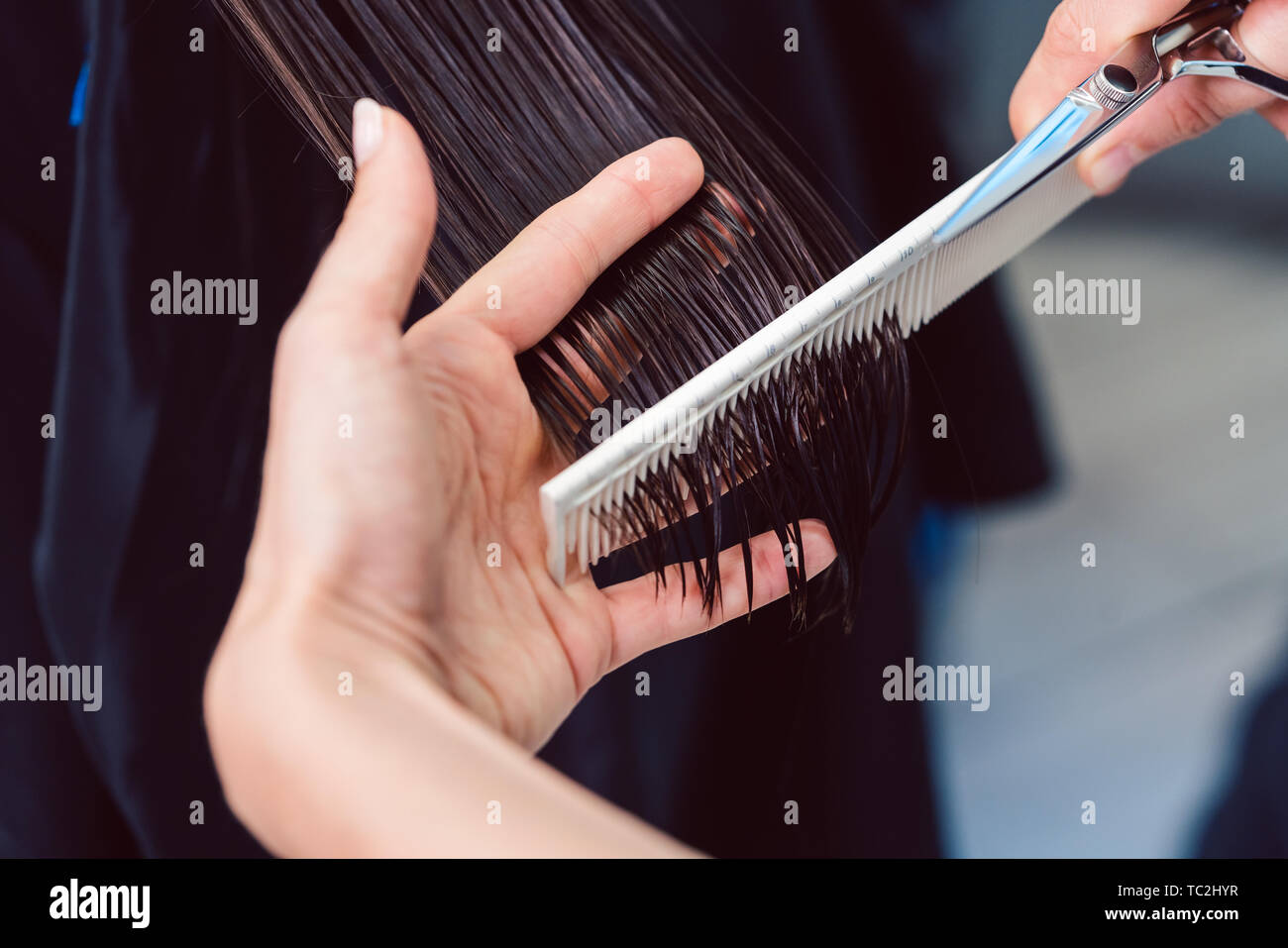 Friseur Schneiden und Stylen Ihrer Haare der Frau in Ihrem Shop Stockfoto