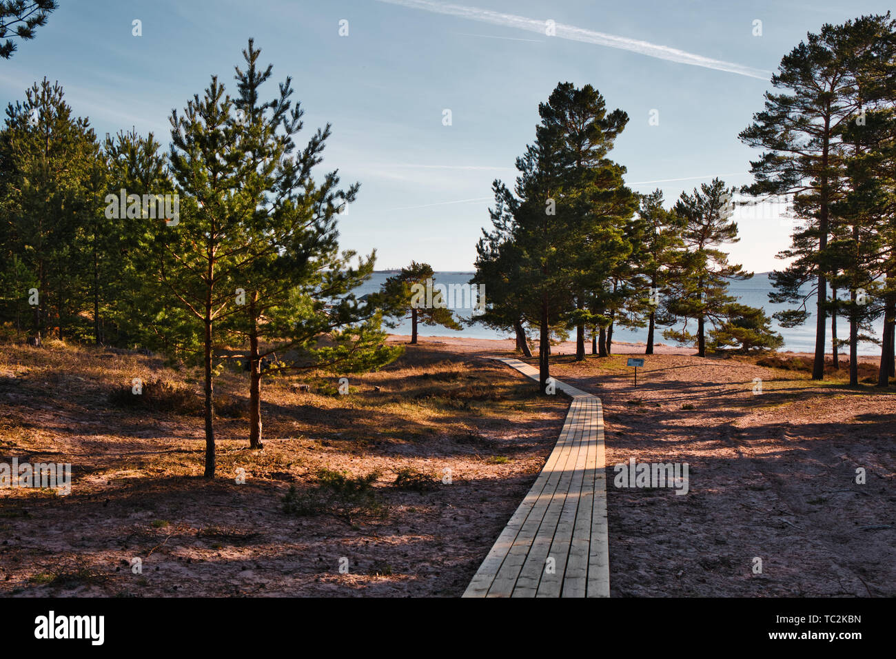 Holzsteg durch den Wald zum Strand, Stockholmer Schären, Schweden, Skandinavien Stockfoto