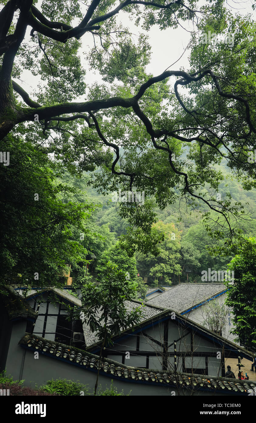 Chongqing Abschaum Höhle Stockfoto