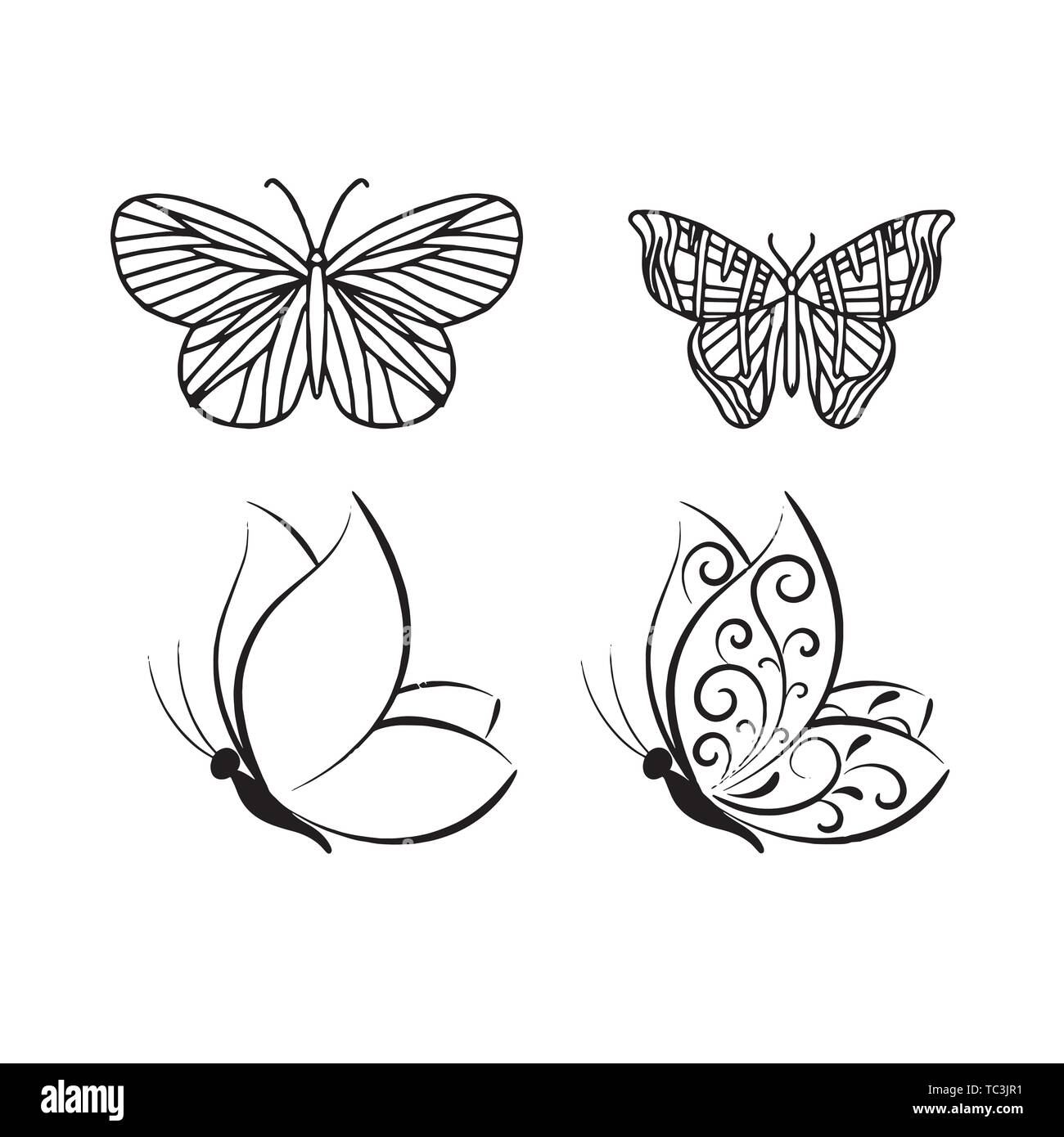 Insekt Schmetterling Umrisse Vektor. Natur Malbuch insekt Schmetterling