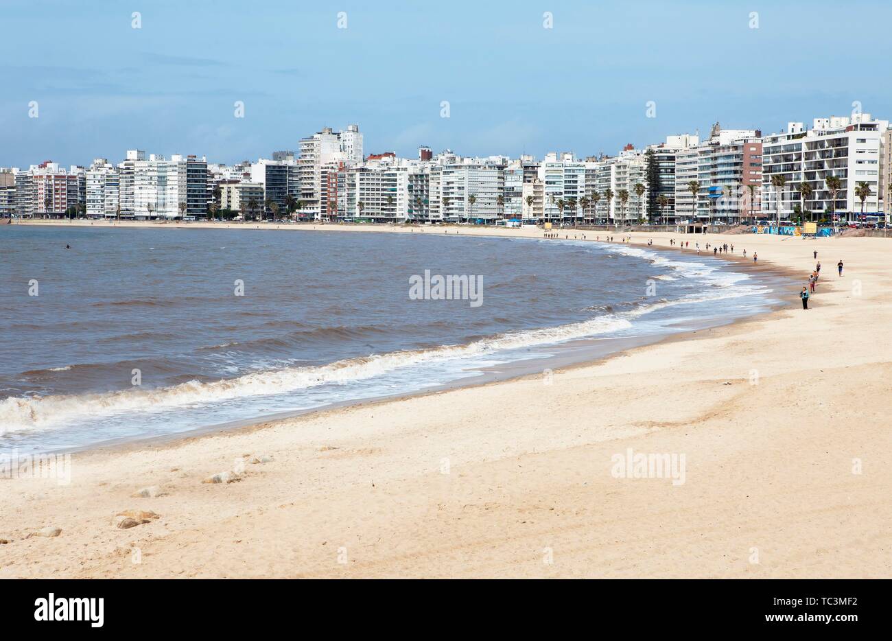 Sandstrand Strand Playa Pocitos, Stadtblick, Montevideo, Provinz Montevideo, Uruguay Stockfoto