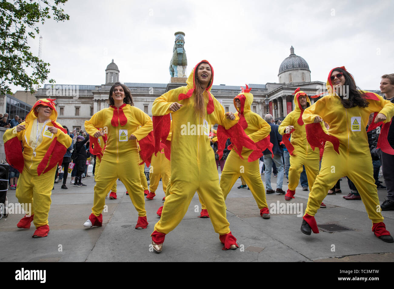 Eine Gruppe von Demonstranten im Huhn Kostüme gekleidet werden, nehmen Teil während der anti-Trumpf-Rallye am zweiten Tag der Besuch des amerikanischen Präsidenten in Großbritannien. Stockfoto