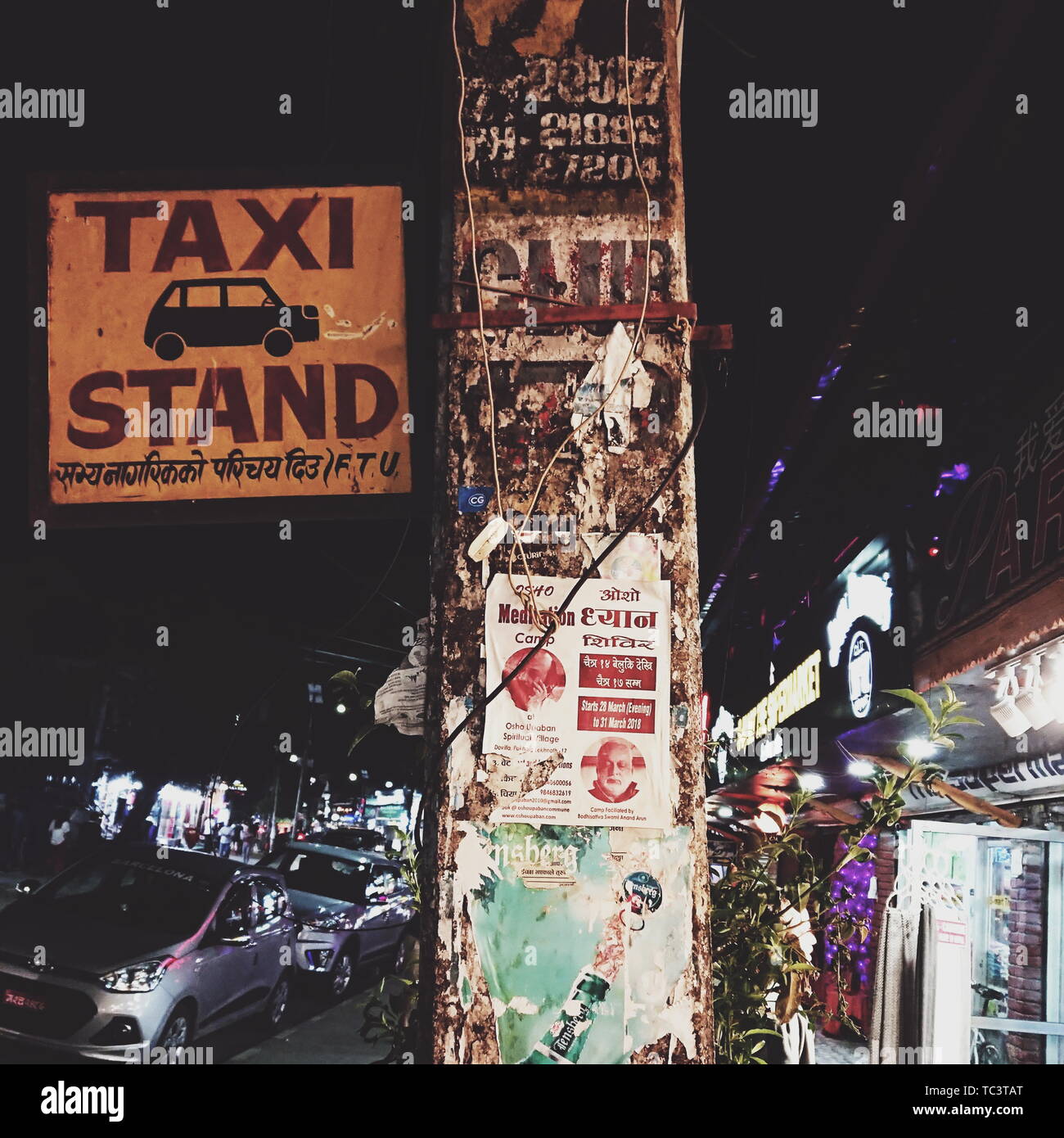 Fox's Weg zur Fotografie. Stockfoto