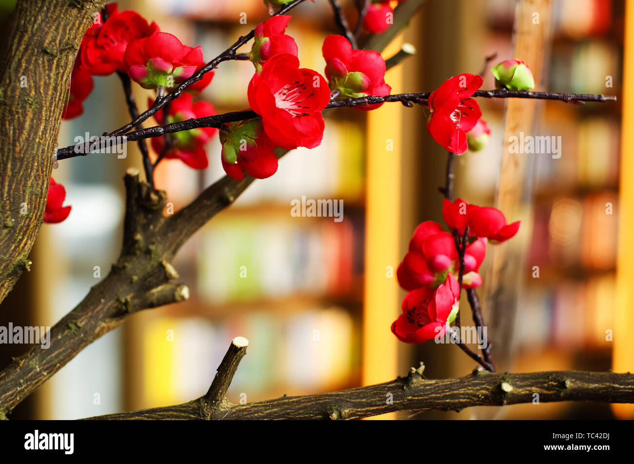Das chinesische Neujahr Couplets und Lucky Zeichen Stockfoto