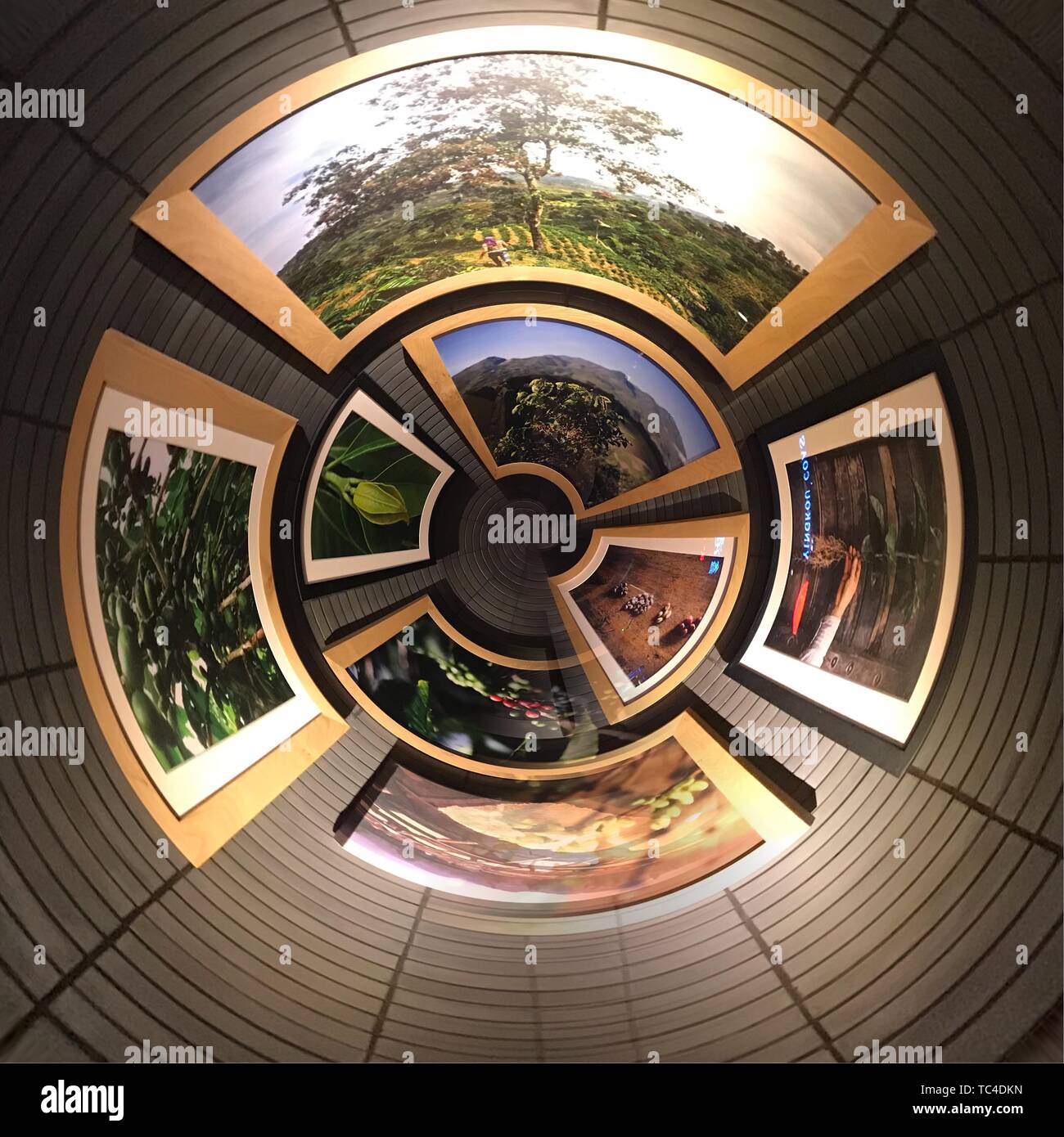 An der einen Wand, voll von Kunst Gemälde, Rahmen in verschiedenen Größen, versetzt Stockfoto