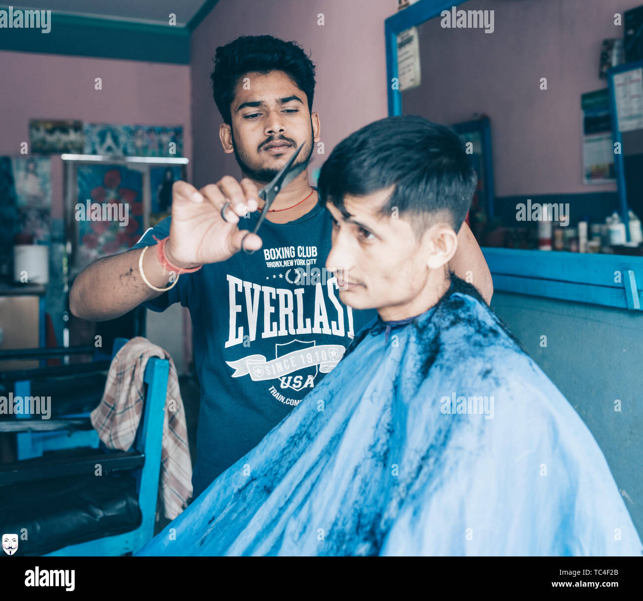 Fox's Weg zur Fotografie. Stockfoto