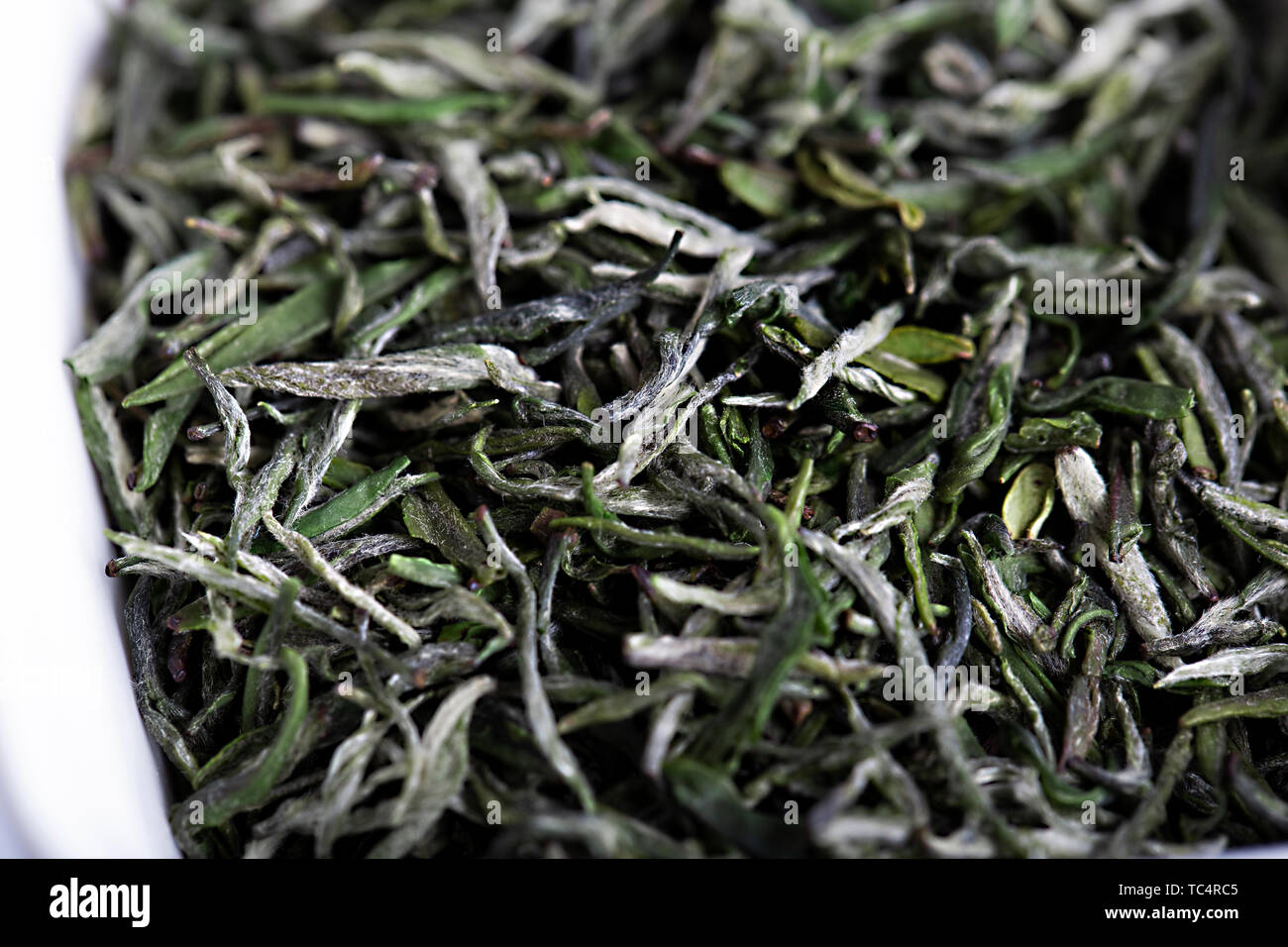 Spezielle hochwertige einzelne Knospe vor Mao Jian in Xinyang Stockfoto