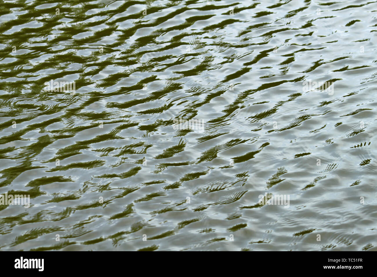 Wasser Textur mit Wellen Stockfoto