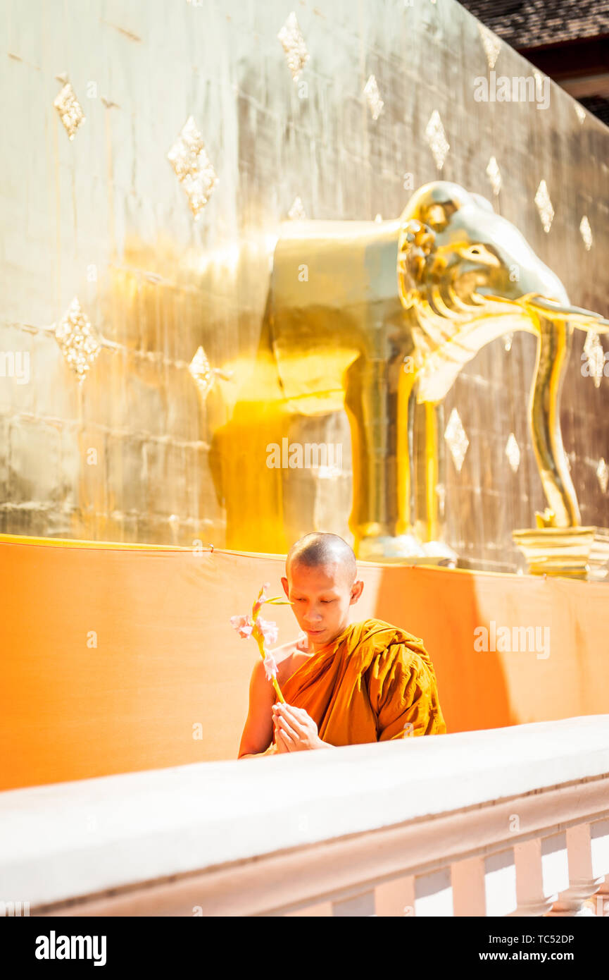 Wat Phra Singh Woramahavikarn buddhistischen Tempel Chiang Mai Thailand Stockfoto