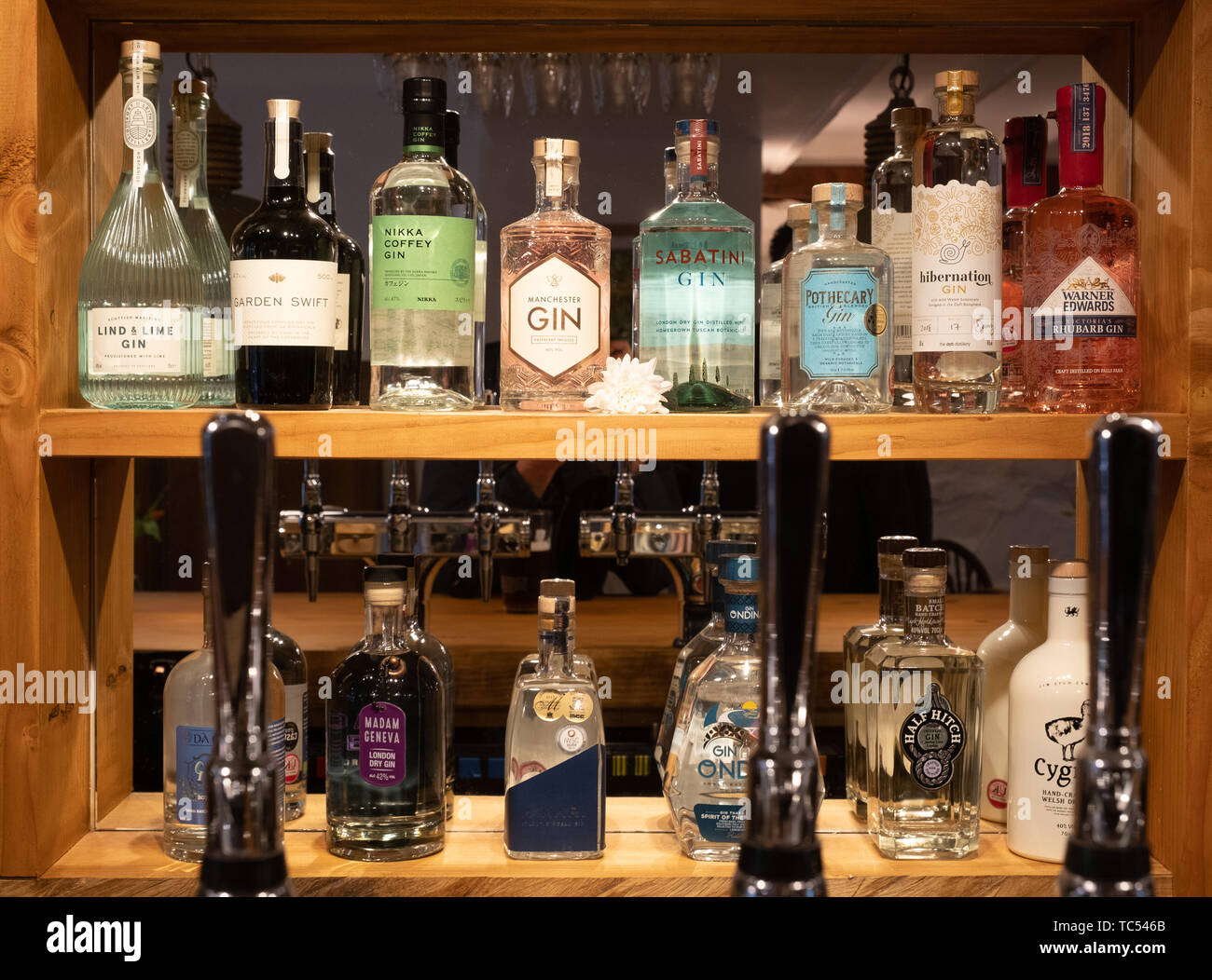 Flaschen Designer Handwerker Handwerk aromatisiert Gins auf Verkauf hinter der Bar von Y Ffarmers Pub und Restaurant, Llanfihangel y Creuddyn, Ceredigion Wales UK Stockfoto