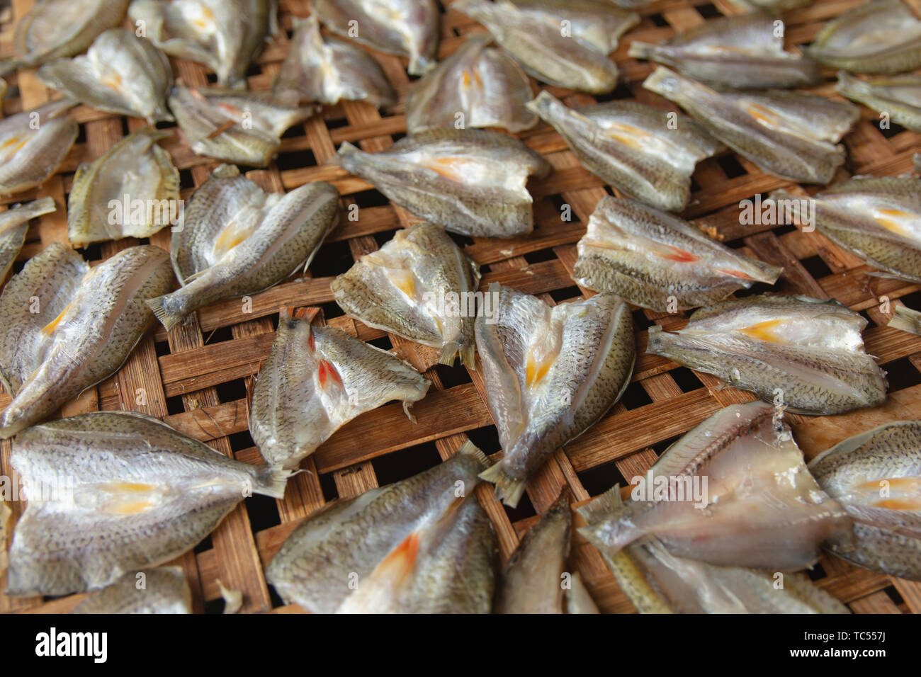 Getrocknete Fische auf Bambus Sieb mit sonnigen Stockfoto