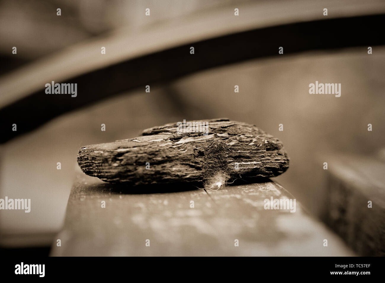 Braun Holz- Rinde auf der Holzbank, Nahaufnahme Objekte, defokussiertem Hintergrund. Stockfoto