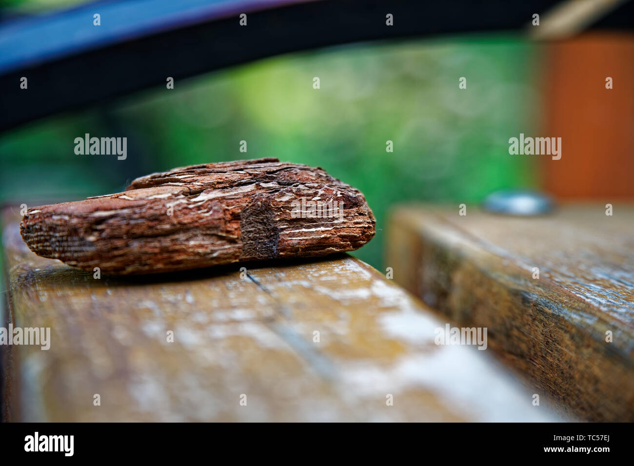 Braun Holz- Rinde auf der Holzbank, Nahaufnahme Objekte, defokussiertem Hintergrund. Stockfoto
