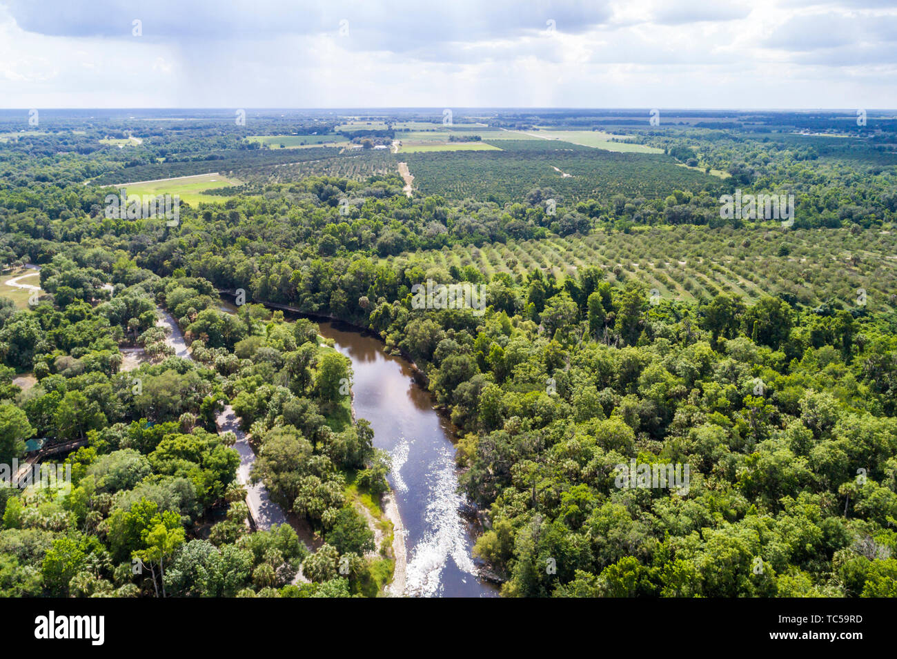Florida, Zolfo Springs, Peace River, Pioneer Park Hardee County Wildlife Refuge, Luftaufnahme von oben, FL190514d39 Stockfoto