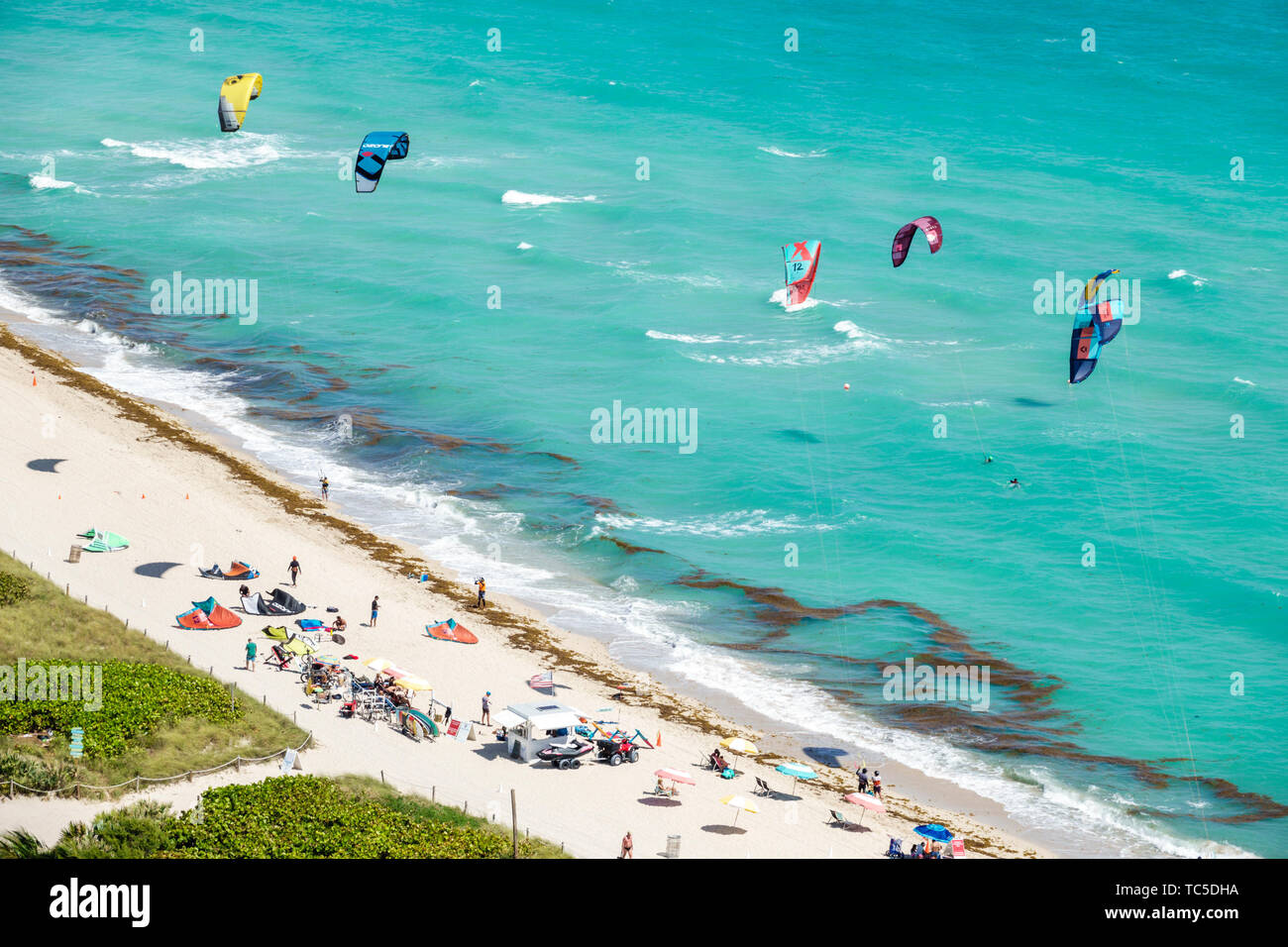 Miami Beach Florida, North Beach, Atlantischer Ozean, Kiteboarding, Kitesurfing, Kitesurfing, Wassersport, Küstenlinie, Algen, Sargassum, FL190331042 Stockfoto