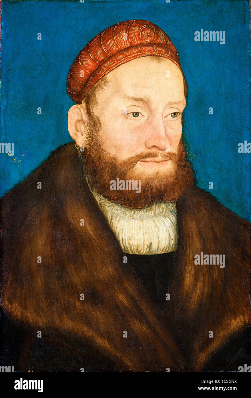 Lucas Cranach der Ältere, Casimir, Markgraf von Brandenburg-Bayreuth, 1481-1527, Portrait Malerei nach 1524 Stockfoto