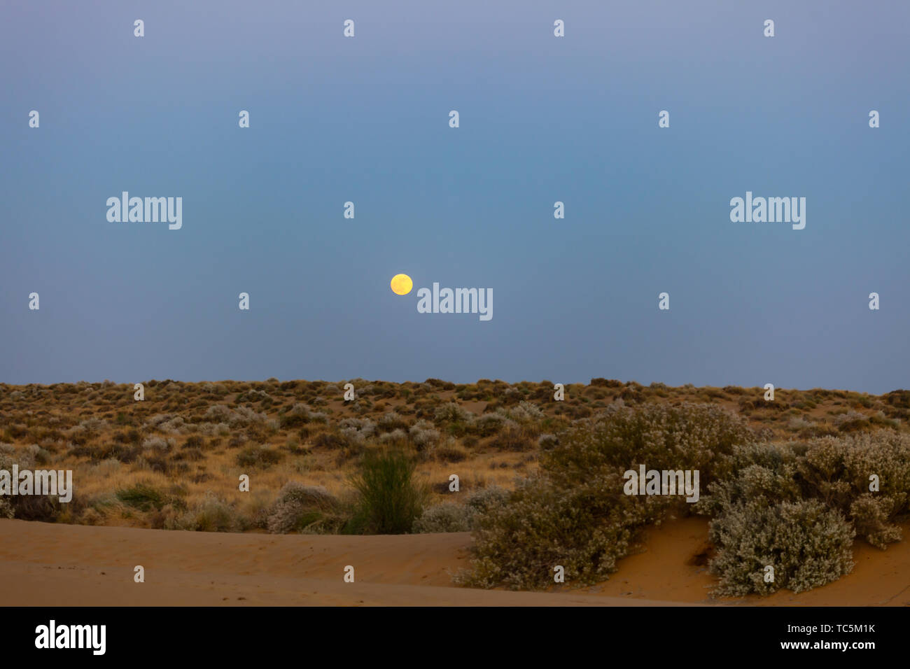 Kalte Nacht in der Wüste Stockfoto