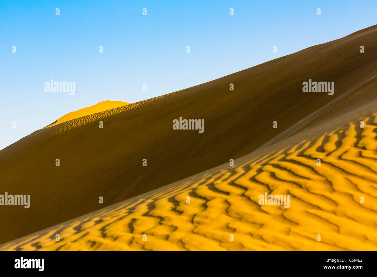 Thar-Wüste in Indien Stockfoto