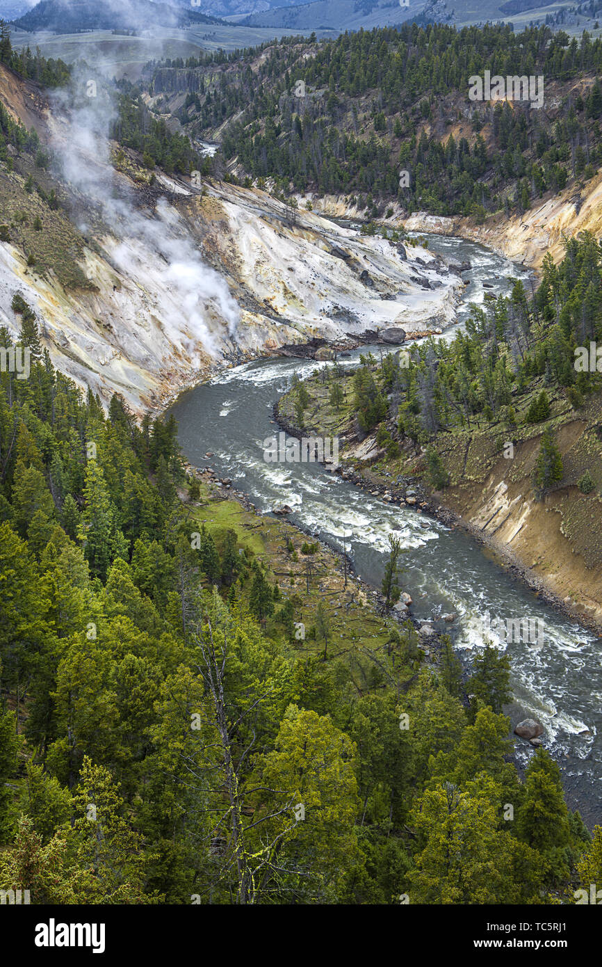 Der Aussichtspunkt von Calcit Federn über den Yellowstone River. Stockfoto